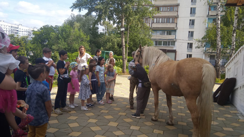  Праздник в День семьи, любви и верности
