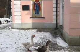 Экскурсия в храм Покрова Пресвятой Богородицы в Покровском-Стрешневе