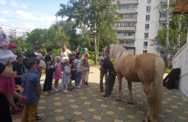  Праздник в День семьи, любви и верности